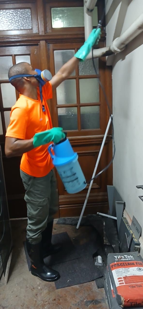 Pest Lab technician spraying treatment near wooden doorway with pump sprayer