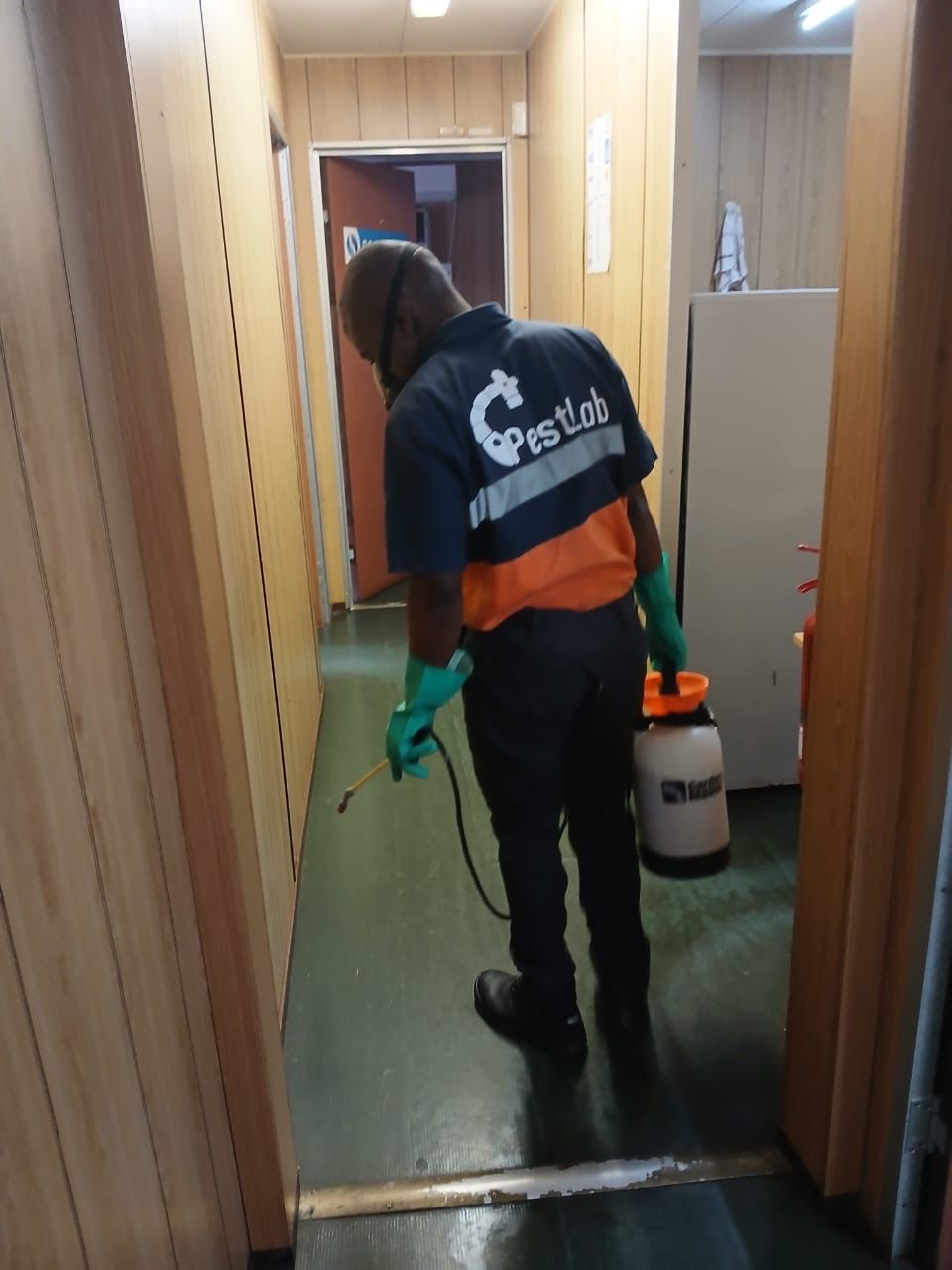 Pest Lab technician spraying in corridor with pump sprayer