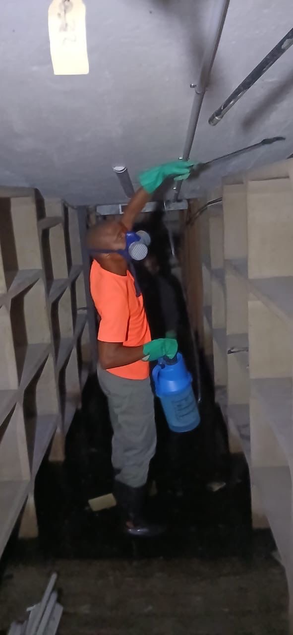 Technician spraying ceiling in storage room