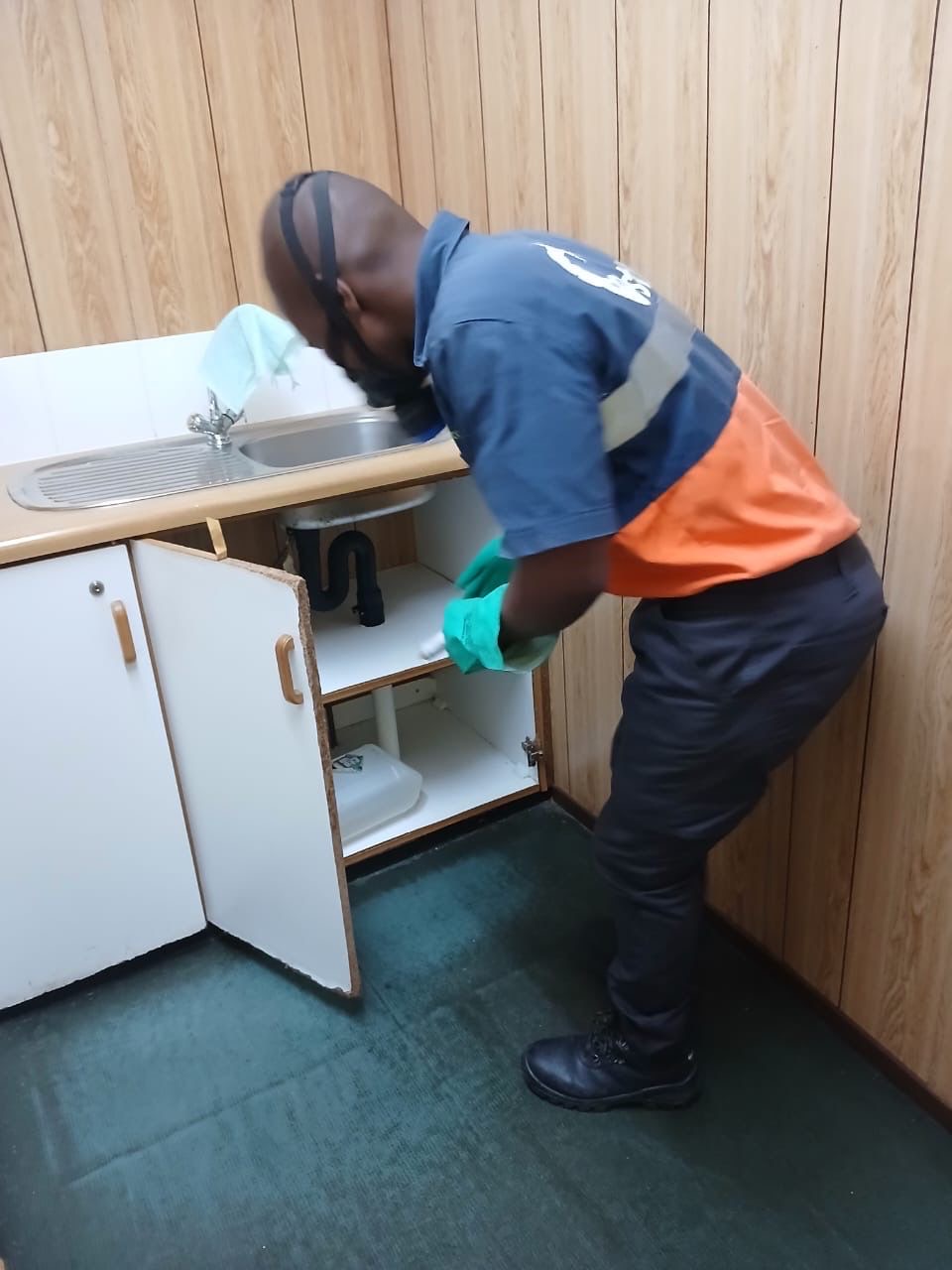 Pest Lab technician treating under kitchen sink